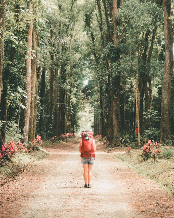 Woman hiking through a forest path, surrounded by lush greenery and tall trees.